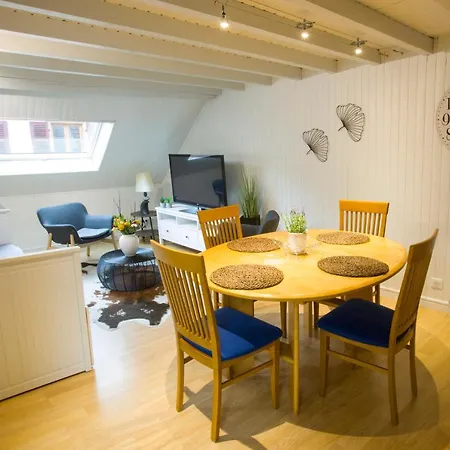 Les Tournesols Avec Climatisation * Kaysersberg-Vignoble